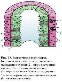 Kraken istand onion ссылка